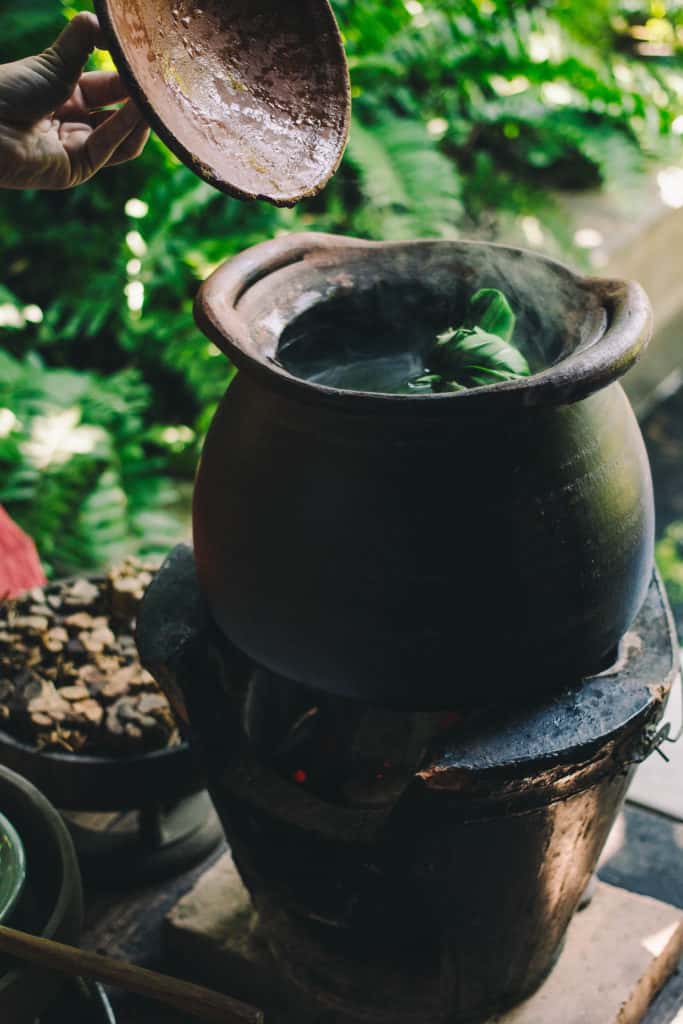 pot of pandan tea brewing in a clay pot with the lid lifting off surrounded by tropical greenery