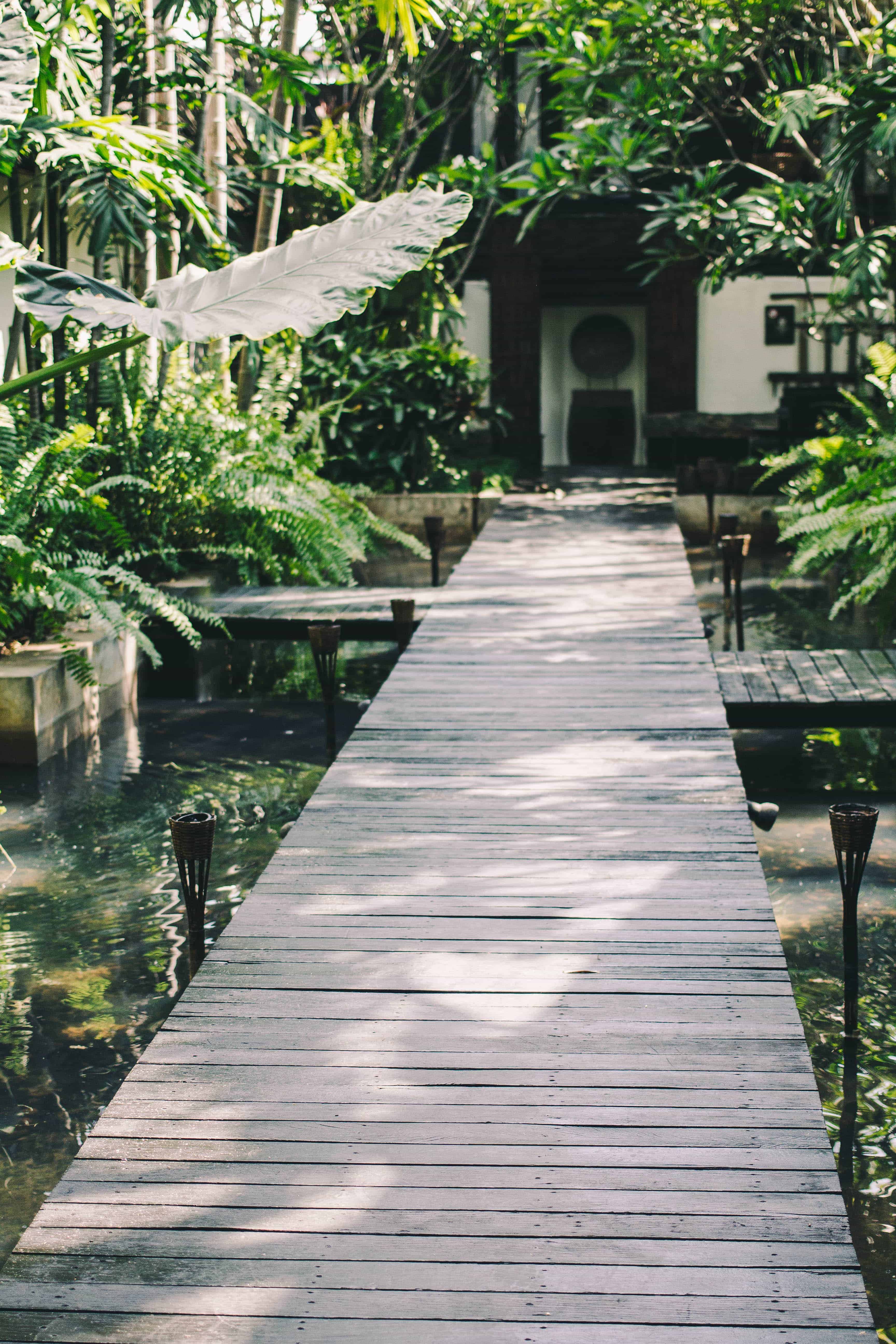 beautiful and serene wooden boardwalk surrounded by tropical greenery at the iconic fah lanna spa