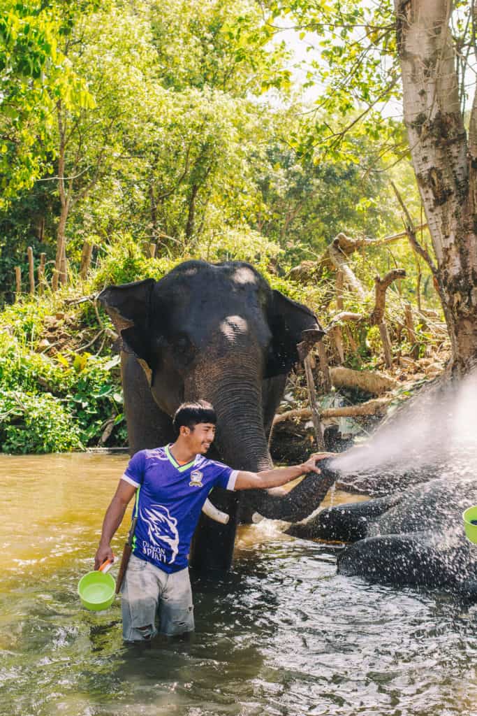 man helping elephant to spray water with his trunk in a river