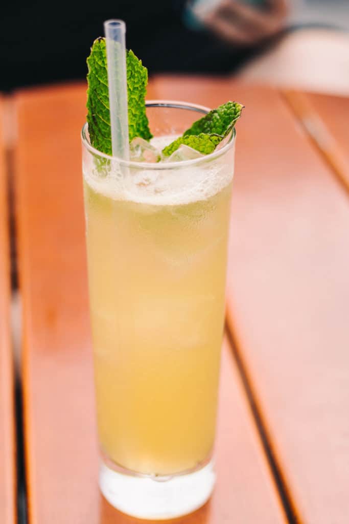 cocktail in a tall glass with a fresh herb garnish