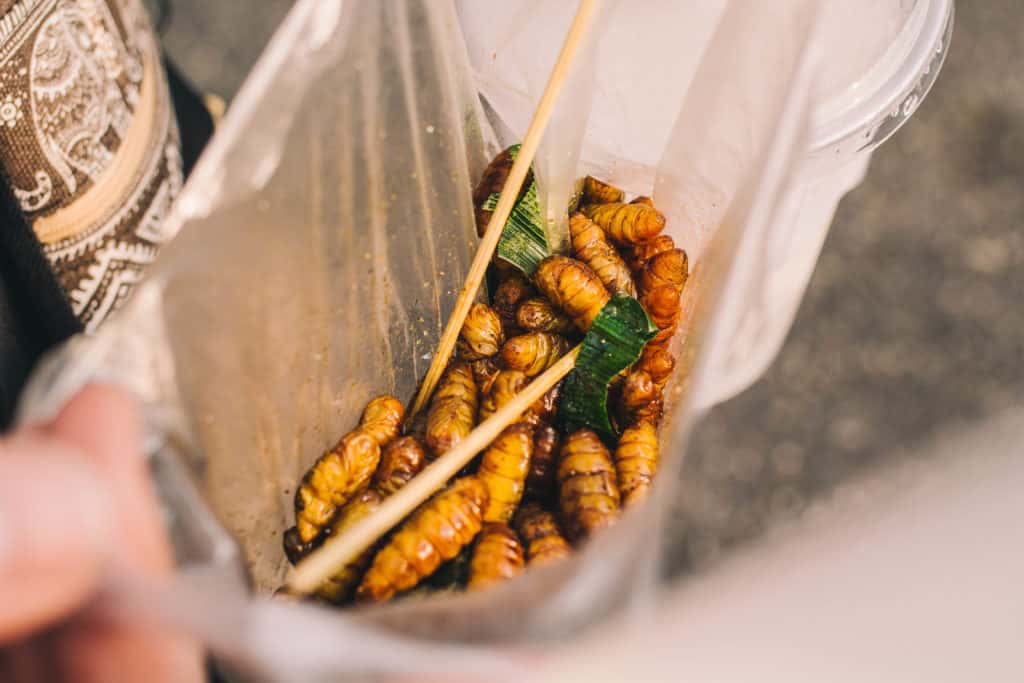 plastic bag with crispy fried insects inside with chop sticks
