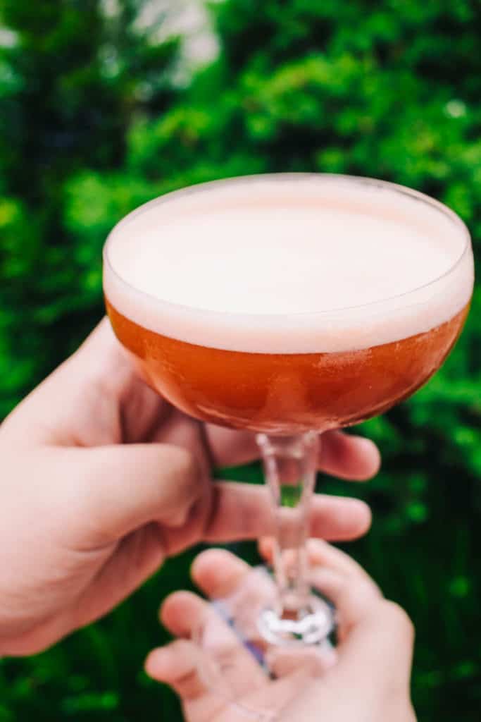 hand held pink cocktail outside near a bright green bush in a coupe glass