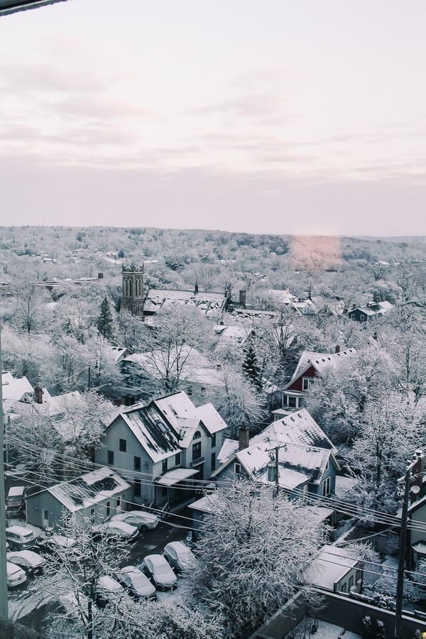 snowy tree tops and rooftops of ann arbor michigan