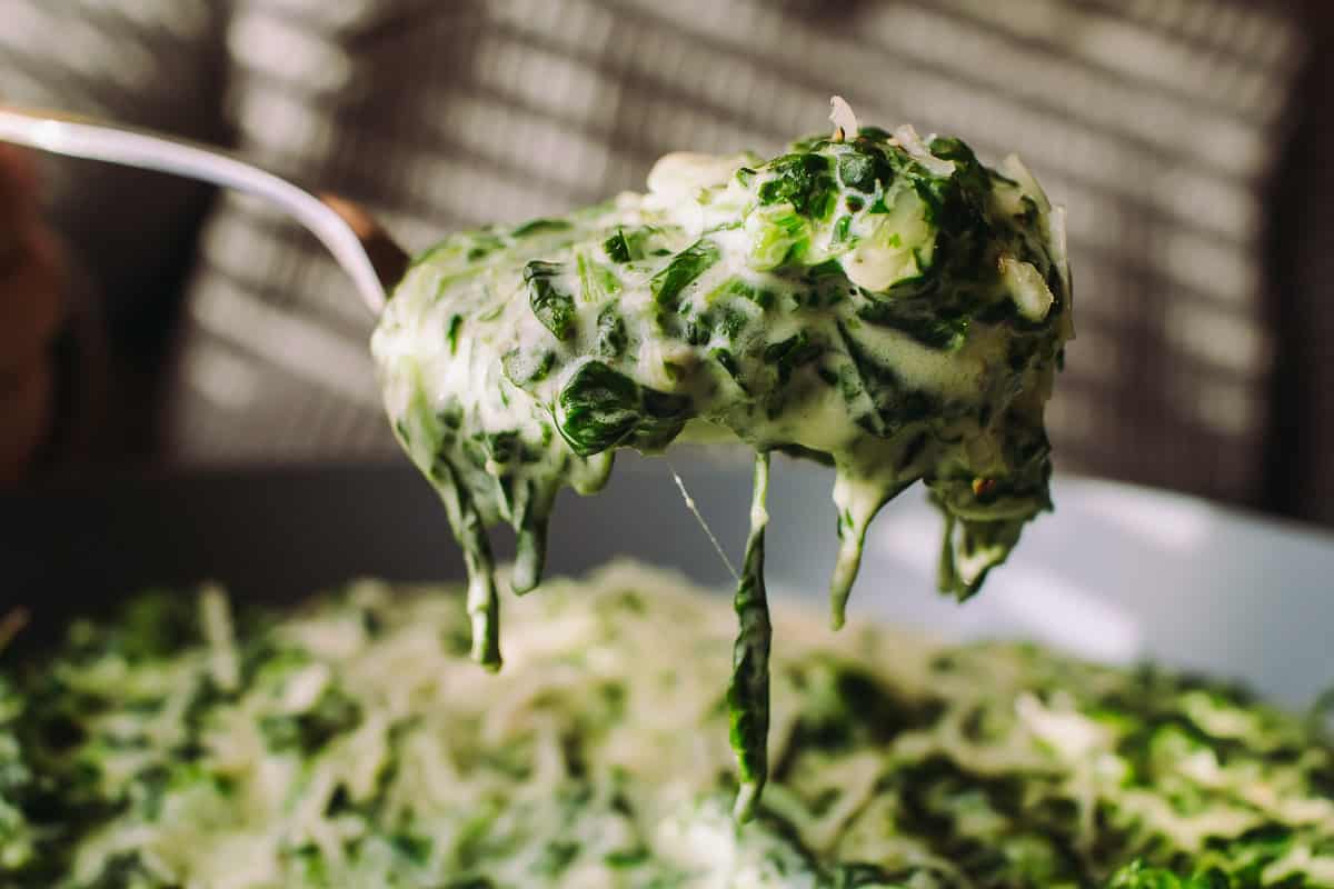 spoonful of low carb creamed spinach