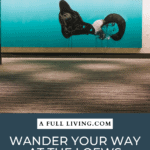 graphic with text Wander Your Way At The Loews Chicago O'Hare Hotel