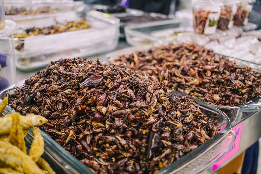 lots of fried insects for sale