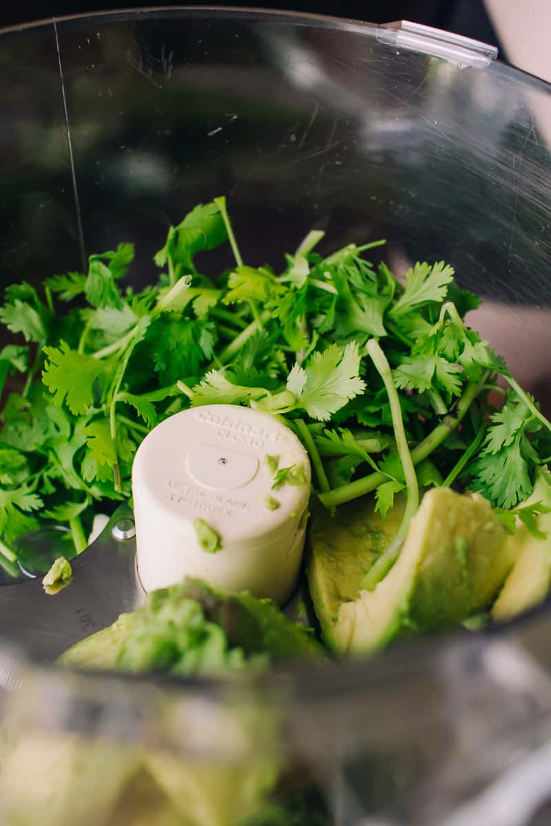 fresh avocado and cilantro in a cuisinart food processor
