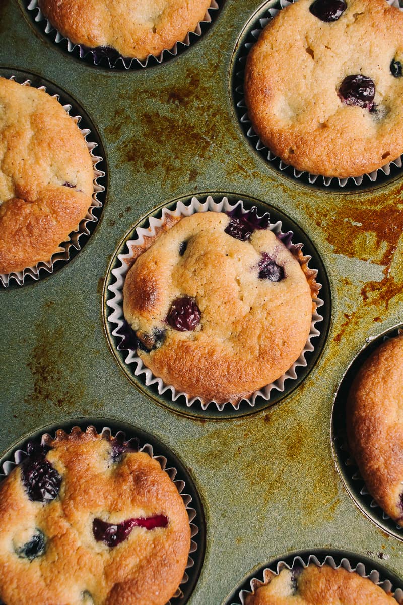 overhead shot of a worn muffin tin with low carb blueberry muffins inside