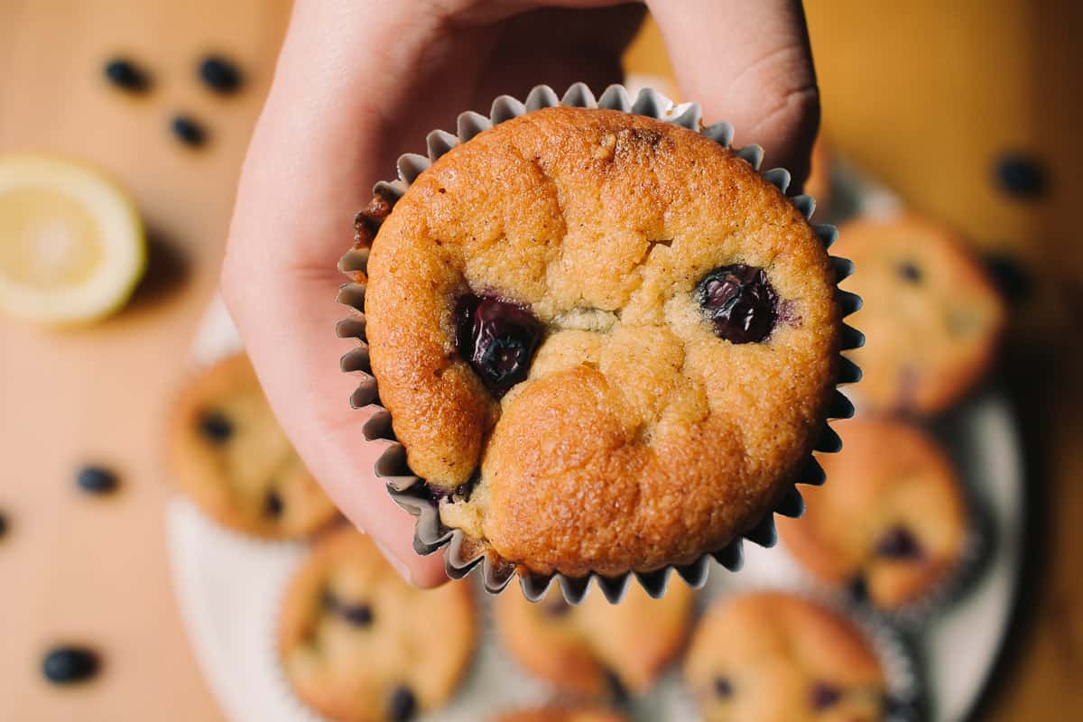 Low Carb Blueberry Muffins