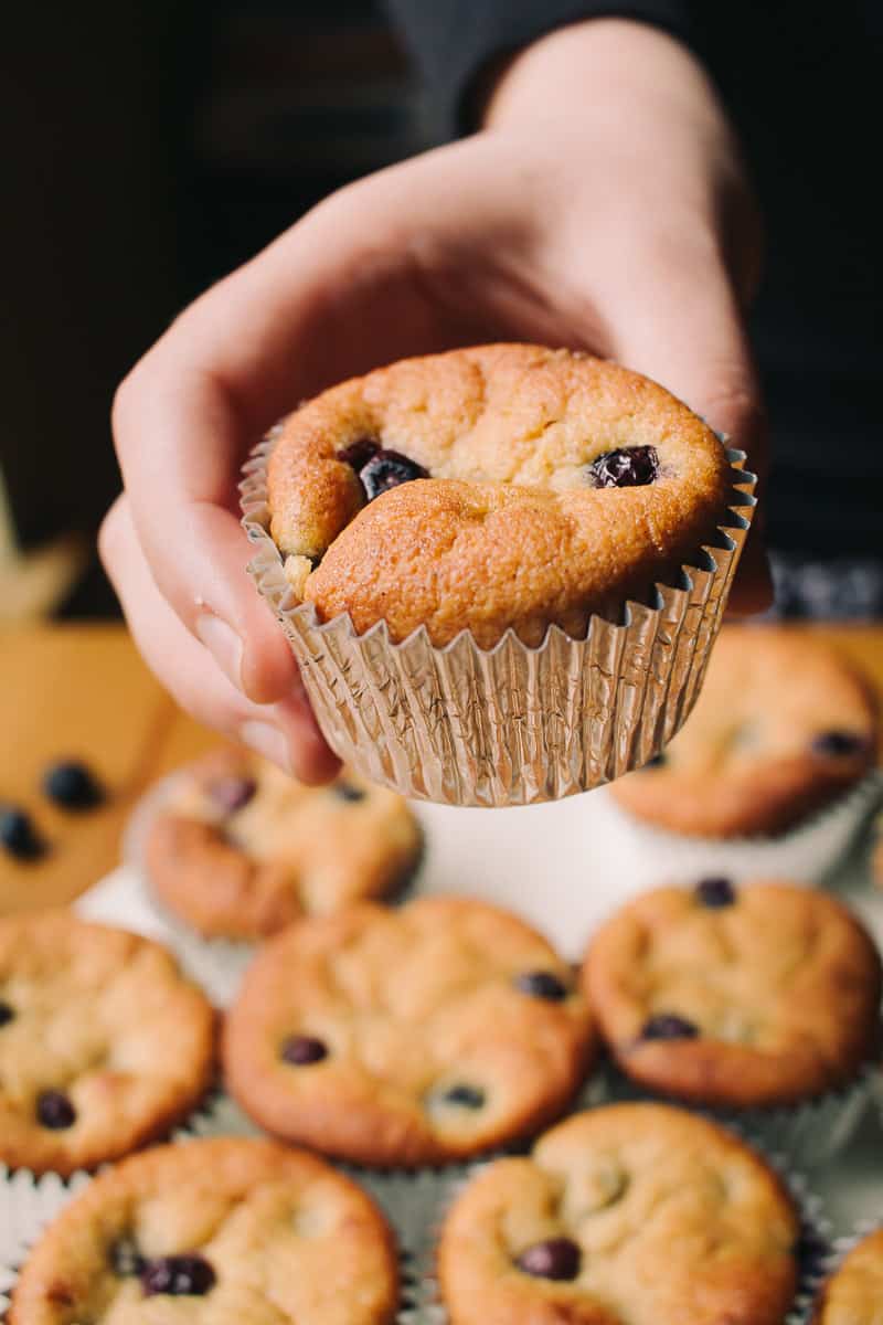 handheld Low Carb Blueberry Muffins