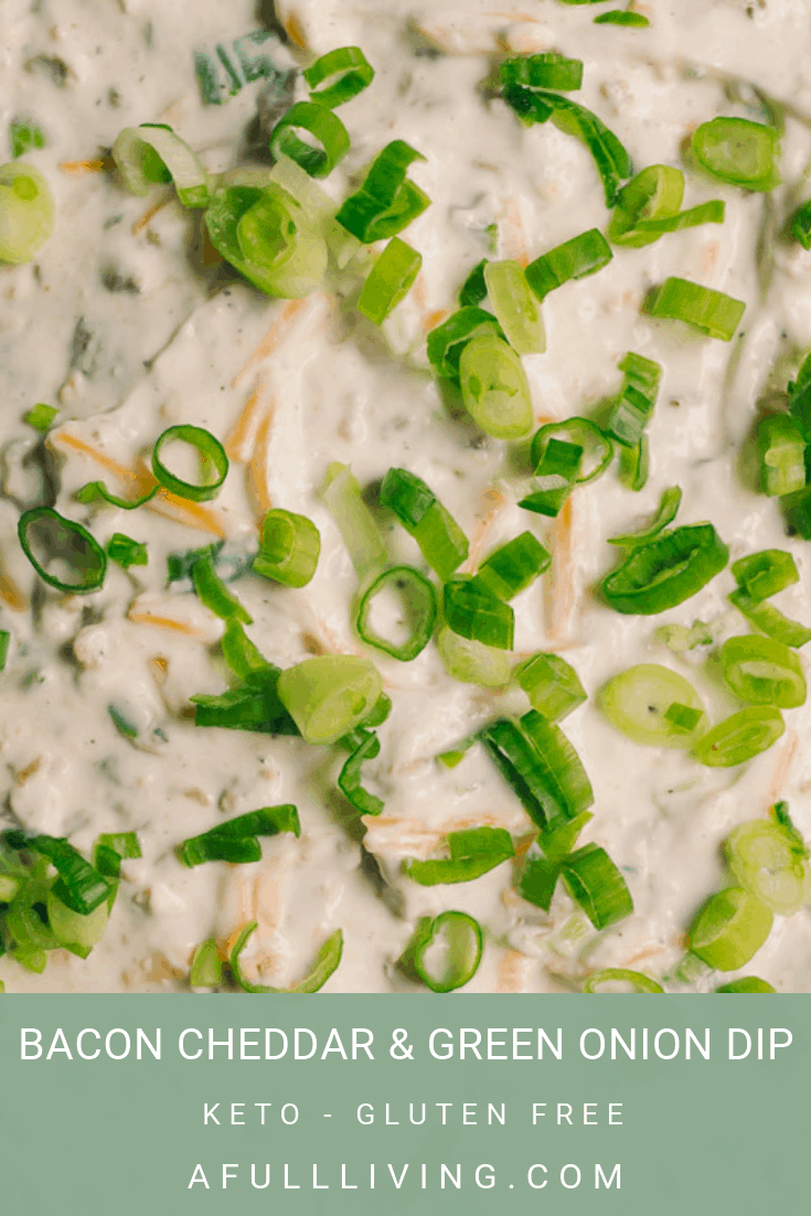 This Bacon Cheddar and Green Onion Dip is versatile, and ready in 15 minutes. It’s low carb, and the perfect appetizer, spread and dip for snacking! You only need 9 ingredients including salt and pepper. It’s low carb and high fat too, making it an ideal snack for a low carb or keto diet. Try for yourself and start putting it on everything! #afullliving #ketorecipes #baconcheddardip #ketorecipe #ketosnacks