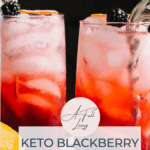 graphic with text Blackberry Ginger Gin Smash Sugar Free