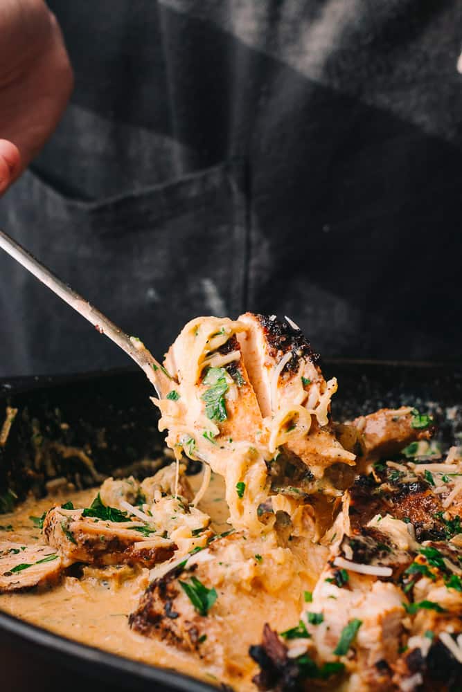 creamy cajun chicken alfredo with spaghetti squash