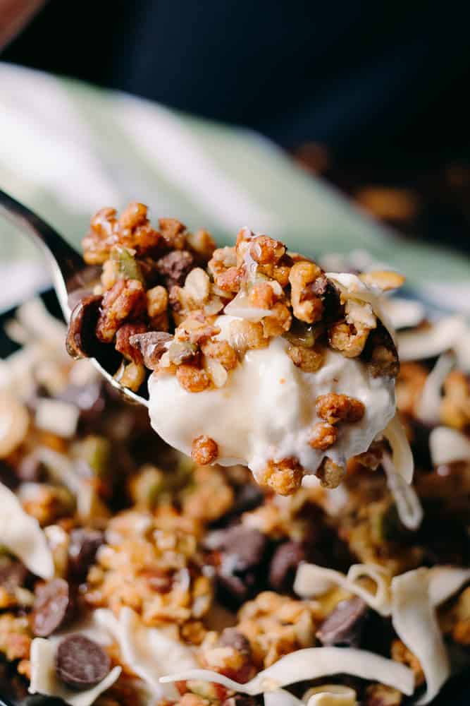 spoonful of yogurt with chocolate chips and granola