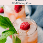 graphic with text of Sugar Free Raspberry Mint Julep