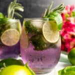summer herb gin and tonic with limes and pink flowers