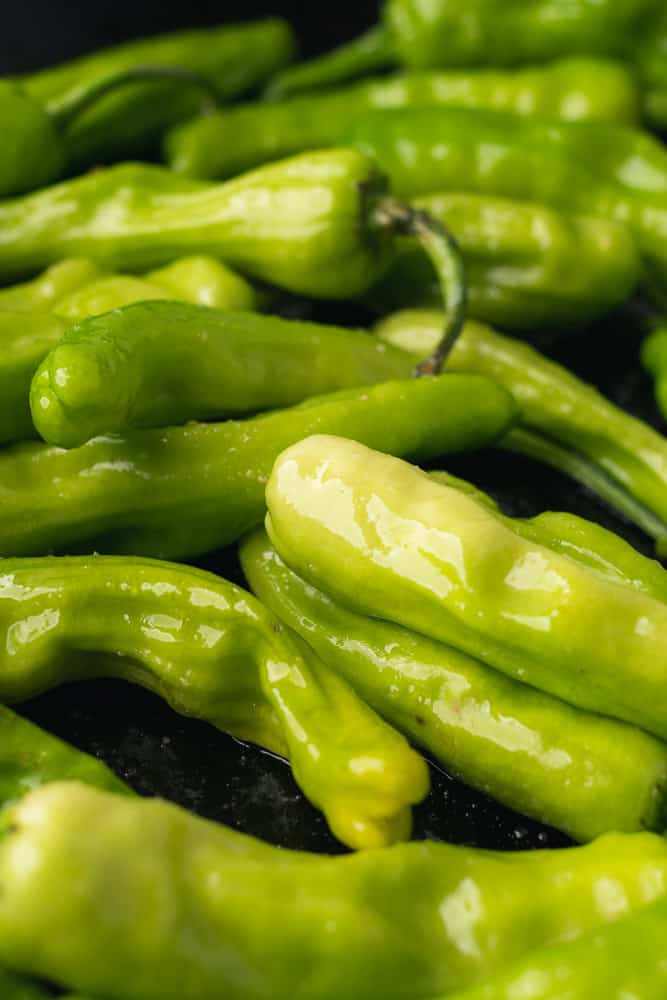 raw shishito peppers with oil and salt