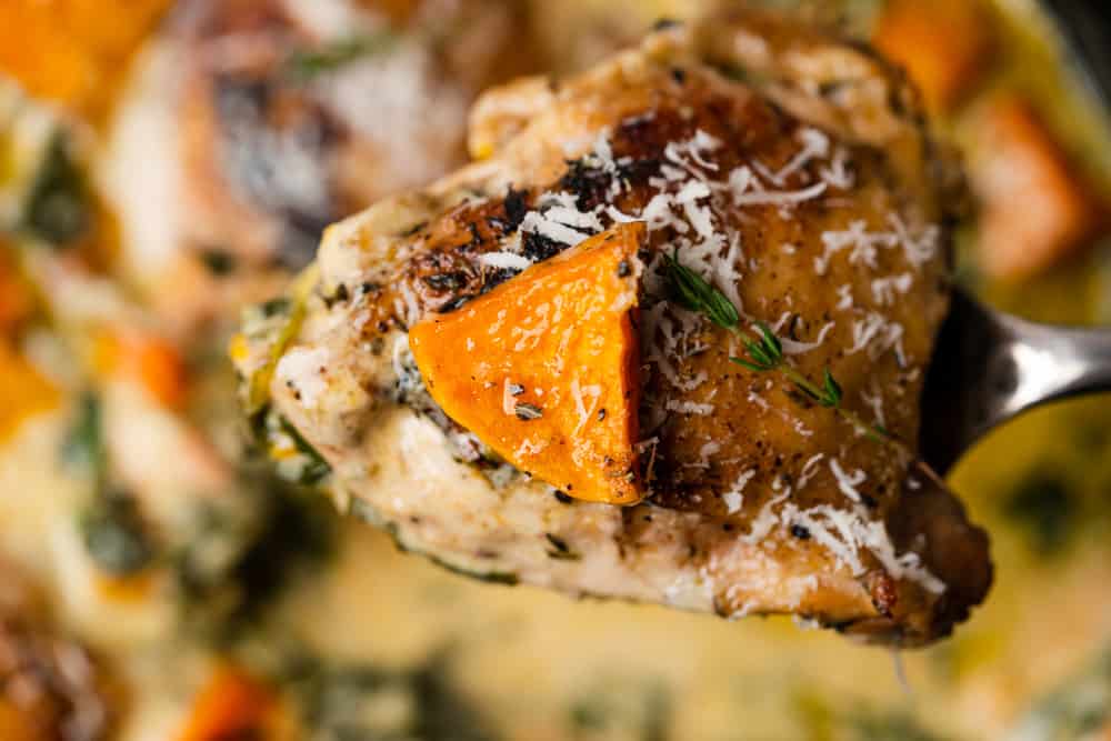 chicken thigh with butternut squash and thyme