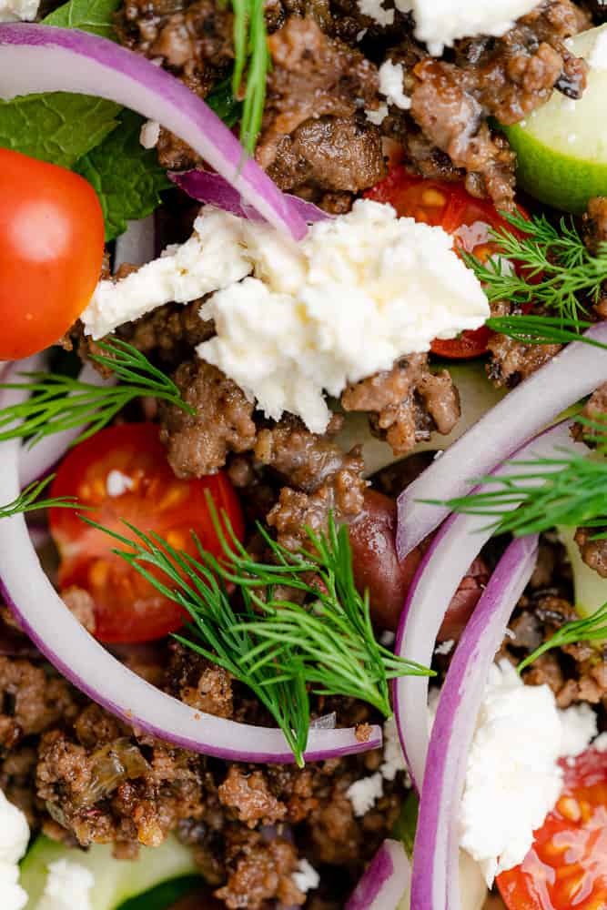 closeup shot of greek lamb salad