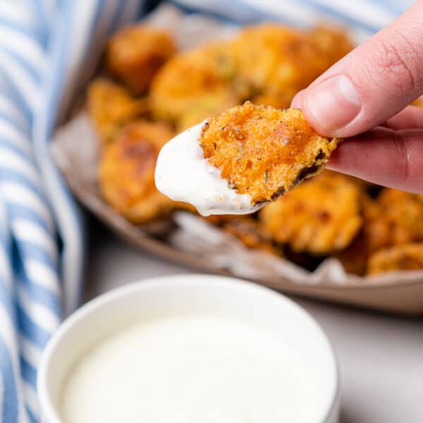 Keto Fried Pickles Recipe (Gluten Free) — A Free Living