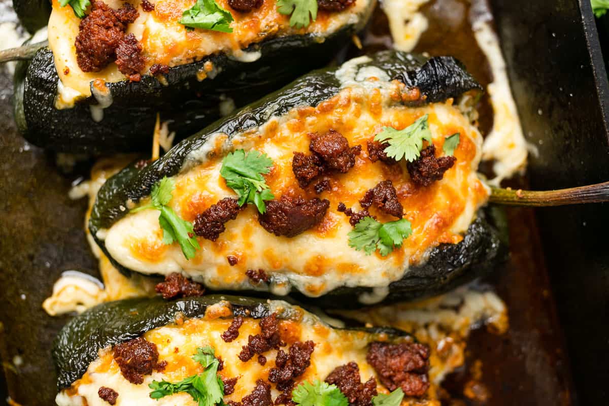 cheesy stuffed poblano peppers with melted chihuahua cheese and cilantro