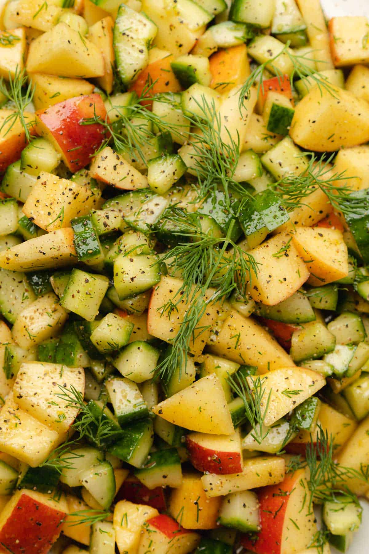 close up shot of apple cucumber salad with fresh dill 