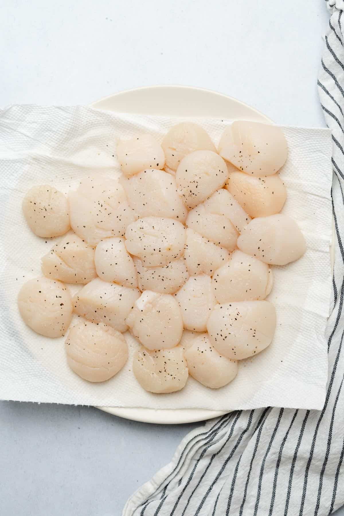 dry sea scallops on a paper towl 