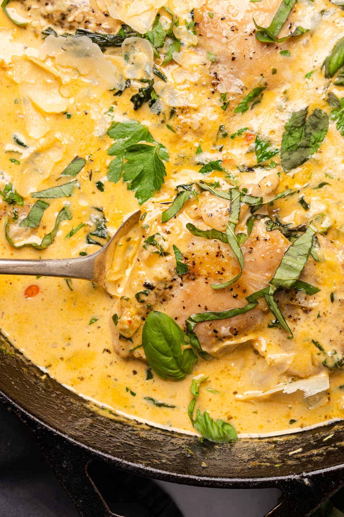 spoonful of creamy chicken with basil and parsley 