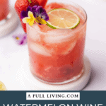 watermelon wine spritzer cocktail with text