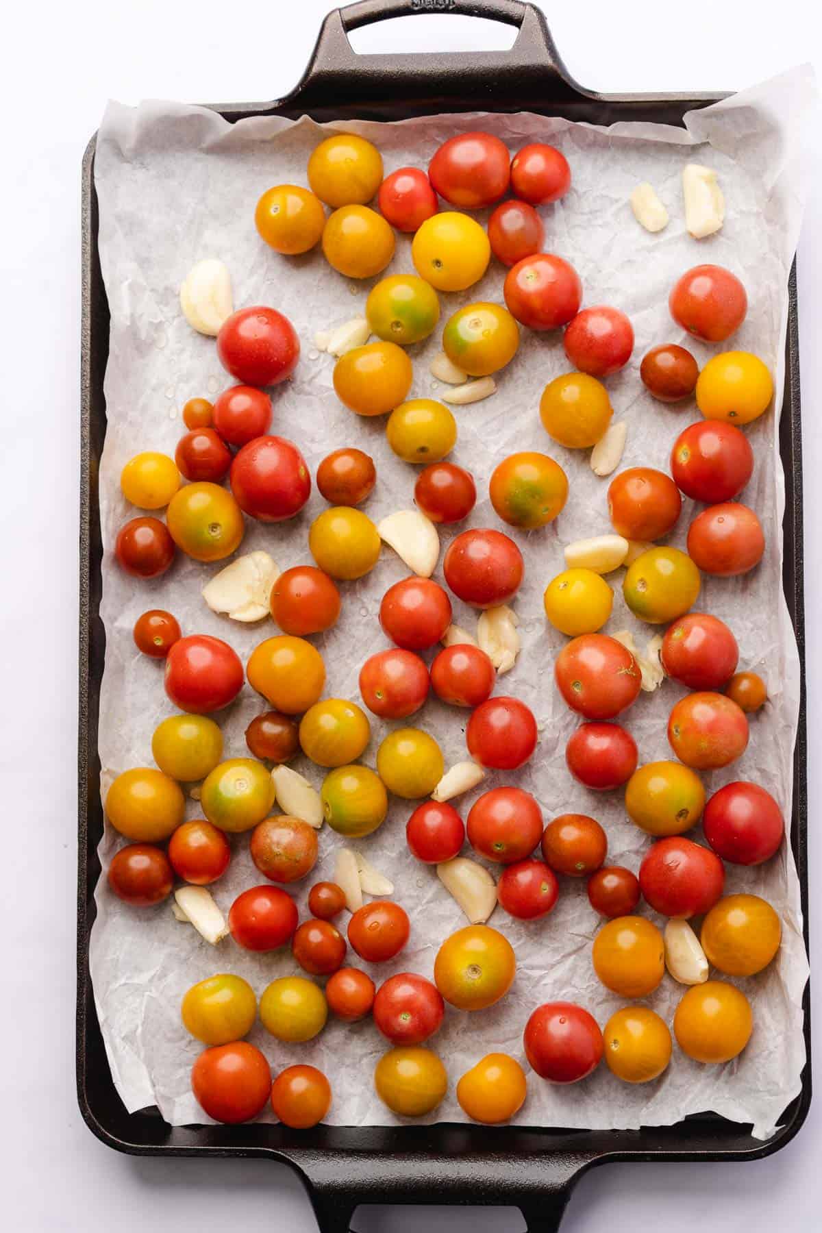 red, orange and yellow cherry tomatoes on a parchment lined baking sheet with garlic 