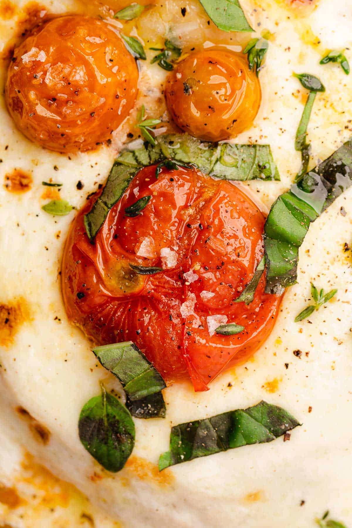 very close up shot of cherry tomato confit with basil and cheese