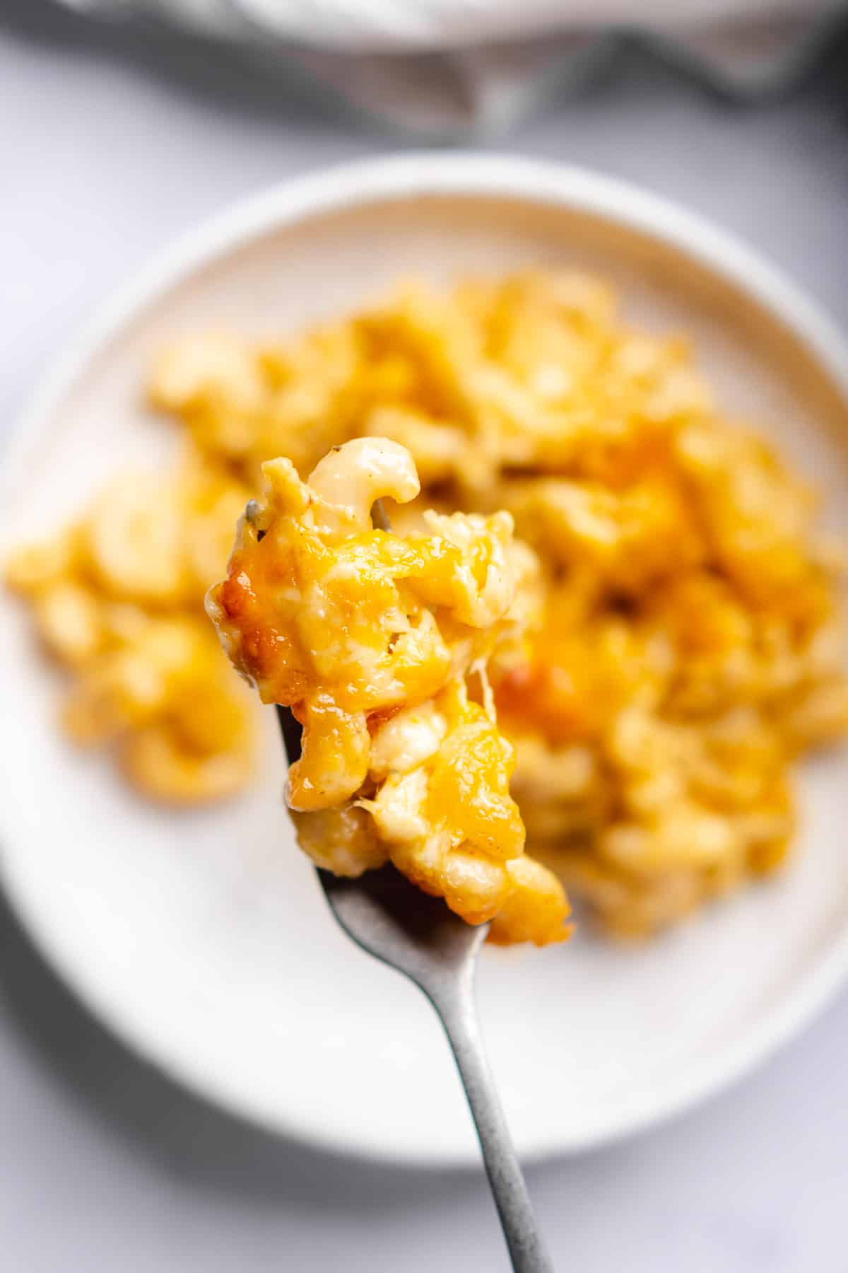 forkful of keto mac and cheese on a white speckled ceramic plate