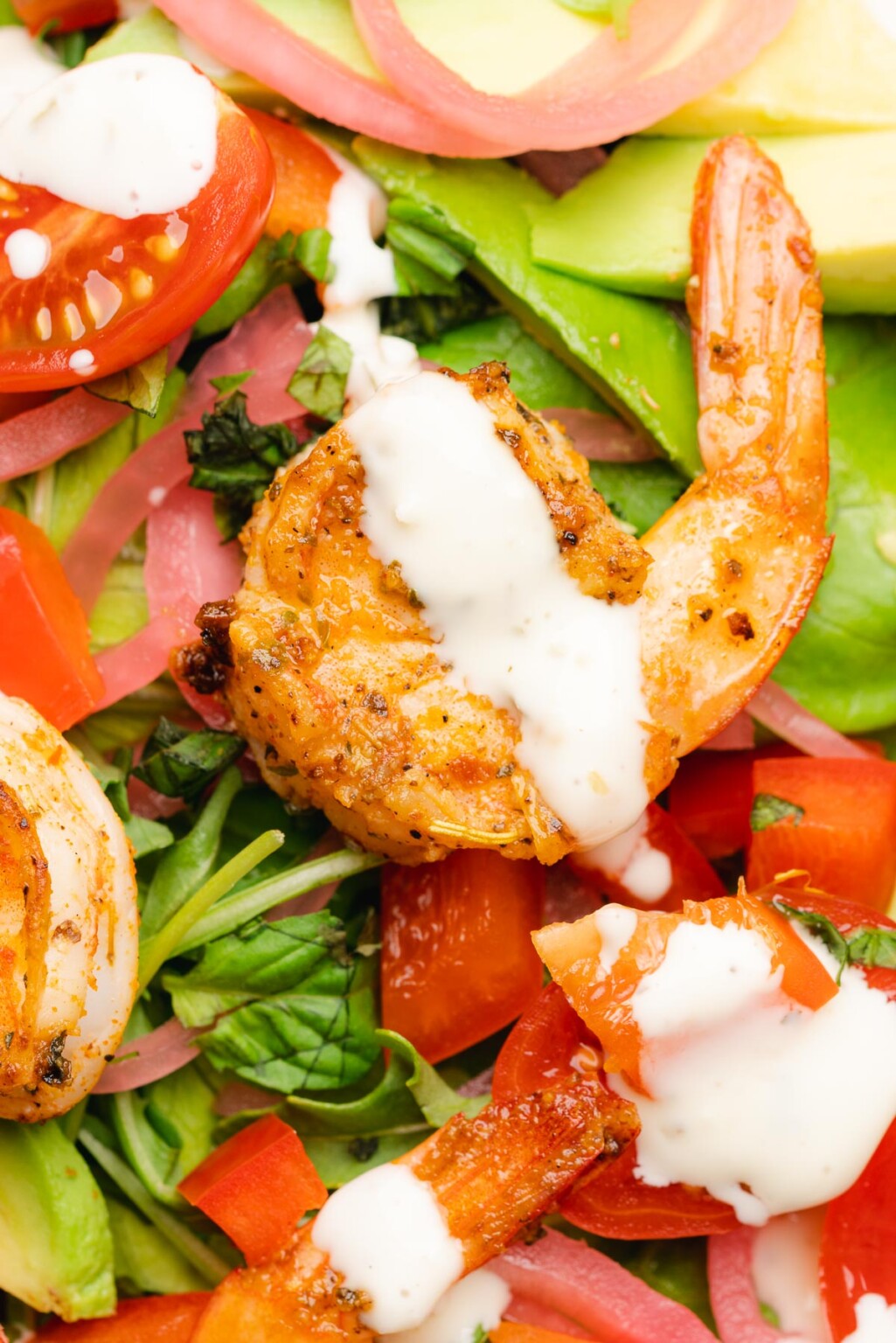 Keto Shrimp Salad A Full Living