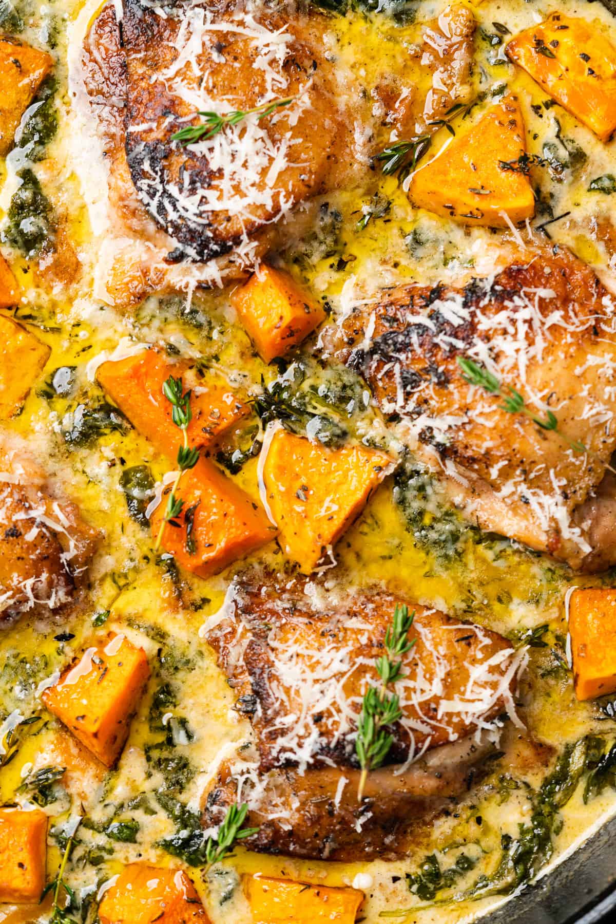 Chicken and butternut squash skillet with parmesan sauce
