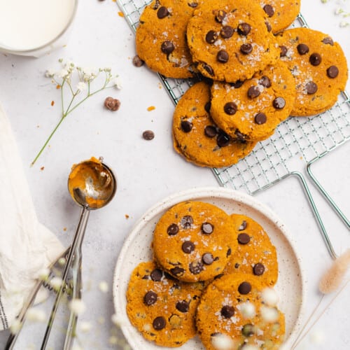 flat lay of gorgeous keto pumpkin chocolate chip cookies with a cookie scooper of pumpkin puree, and white baby's breath flowers