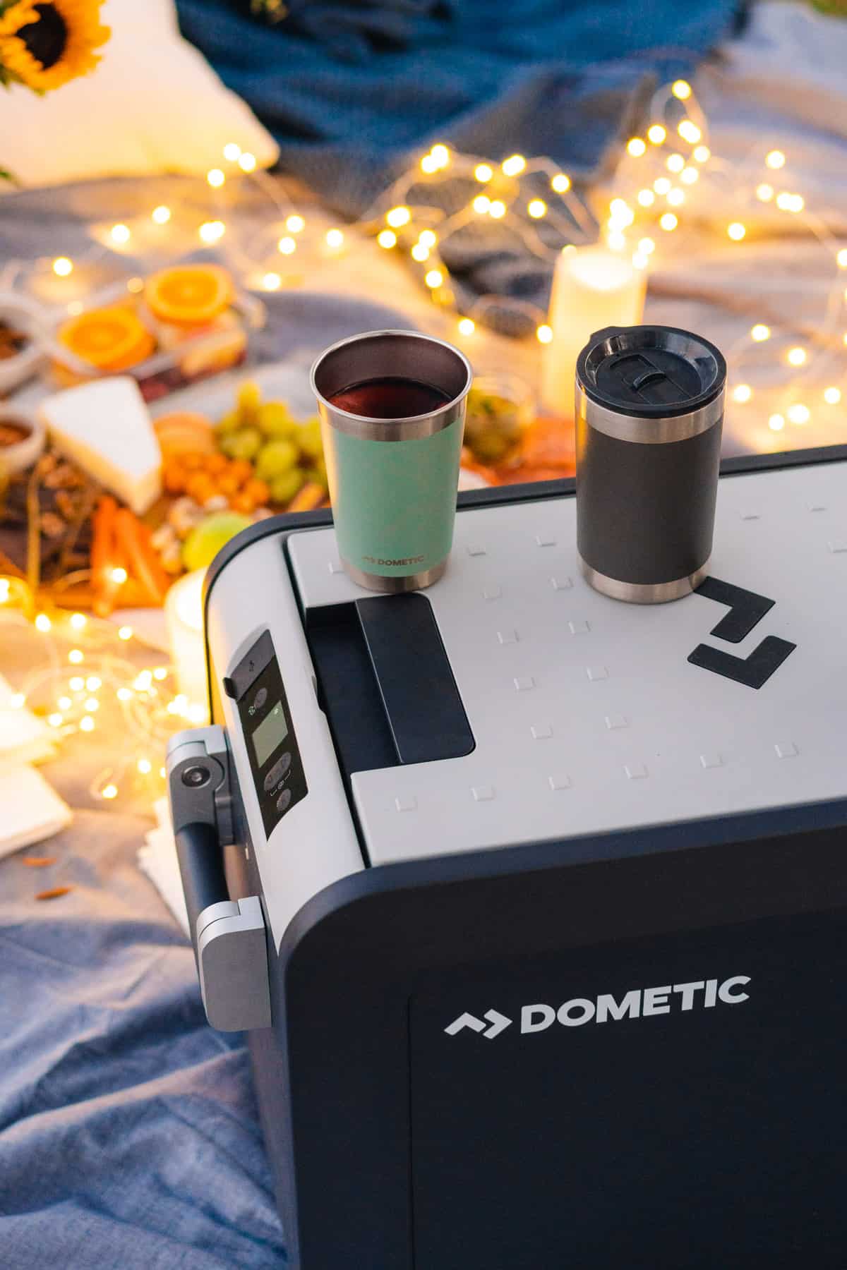 cozy fall picnic inspired by Dometic