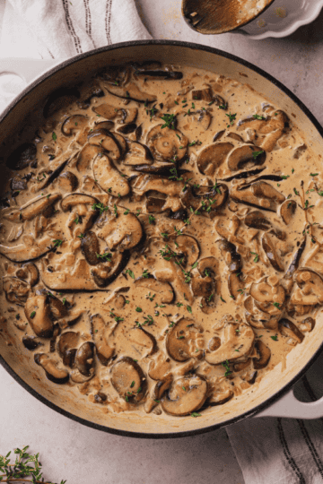 mushroom sauce recipe