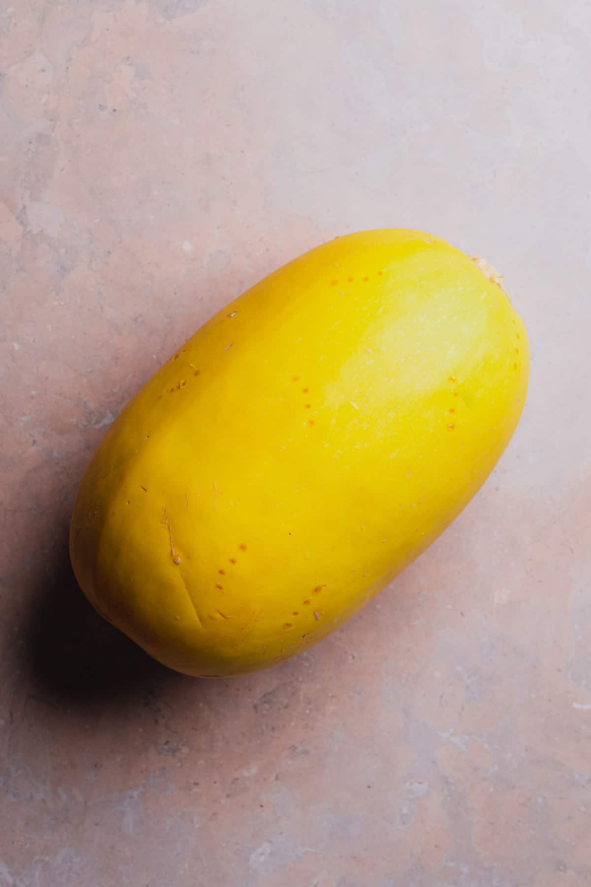 large spaghetti squash with holes poked in it