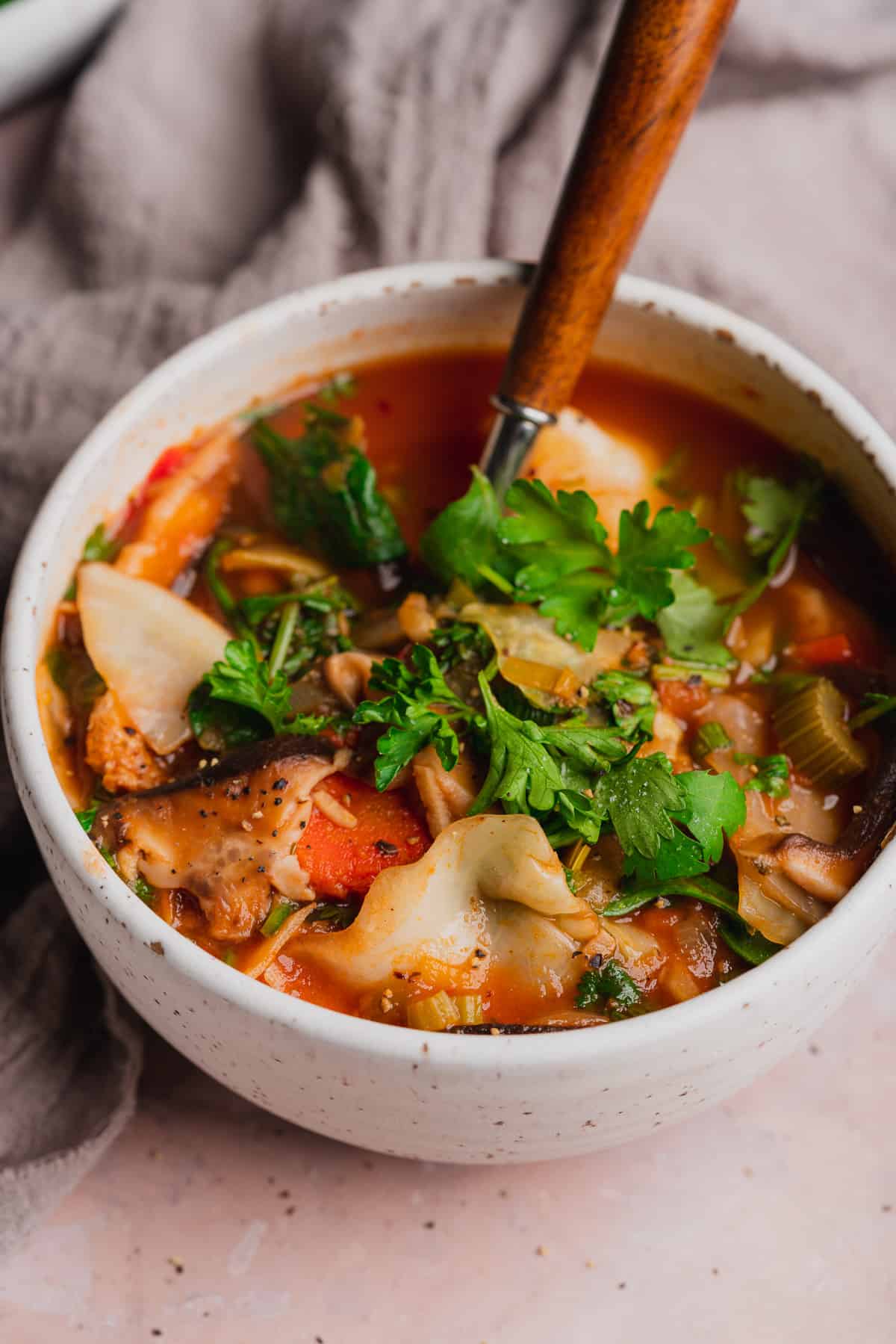 45-degree shot of a bowl of Spicy vegetable soup with a wooden spoon.