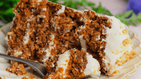 Vegan Carrot Cake Recipe - With The BEST Vegan Frosting!