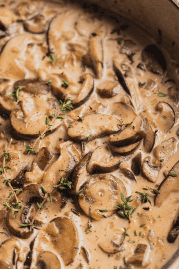 mushroom sauce sauce