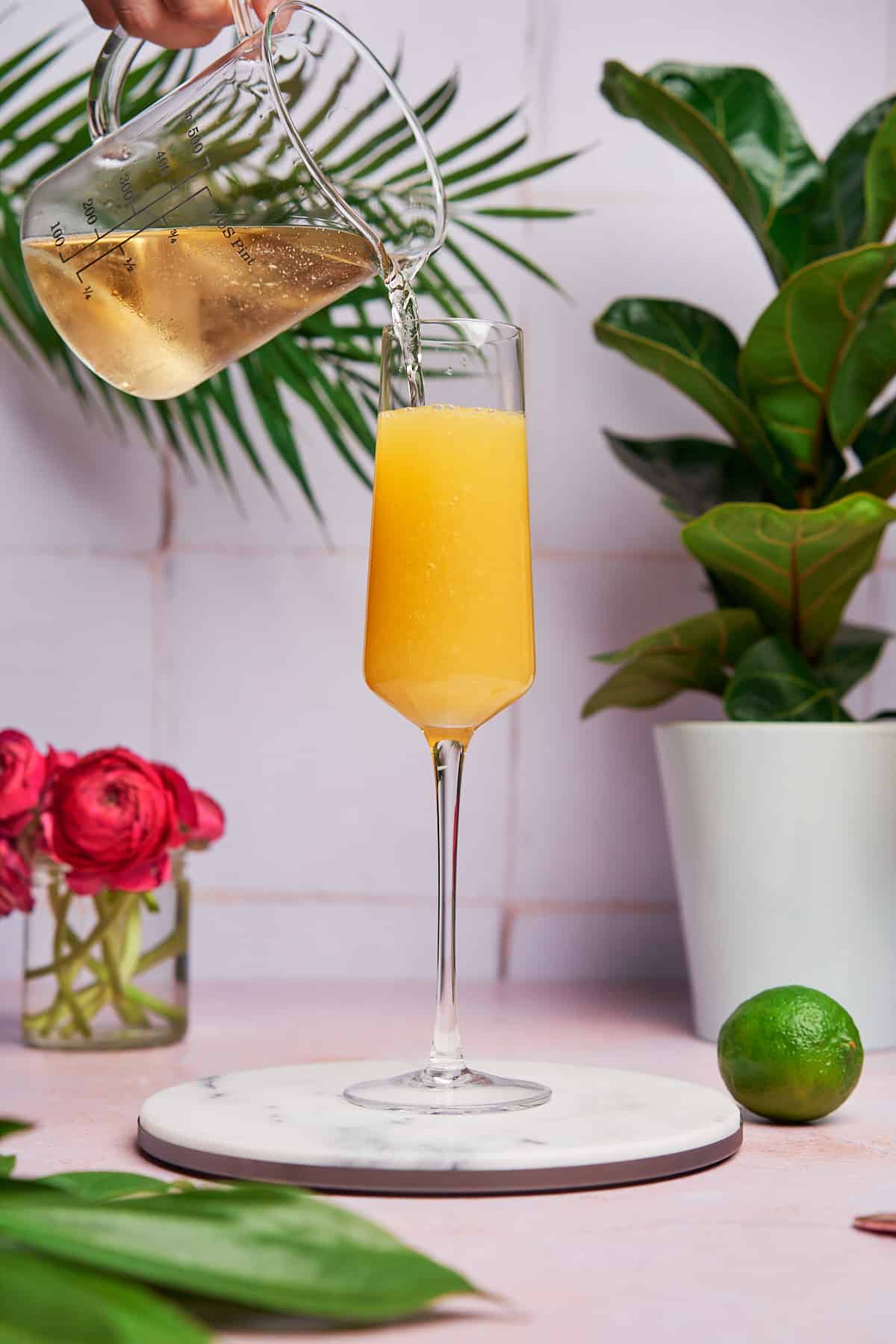 topping a cocktail with sparkling wine in a champagne glass. 
