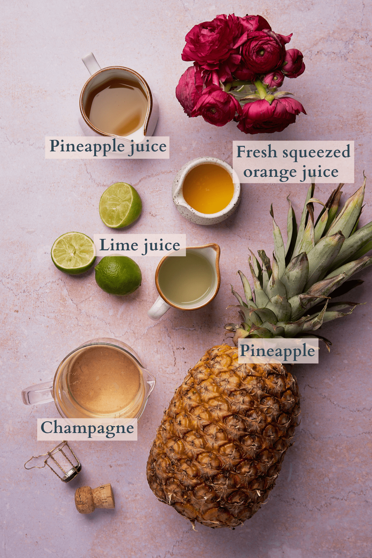 ingredients to make a pineapple mimosa laid out, including a pineapple and pineapple juice, champagne, limes and lime juice, orange juice, and some pink flowers with text to denote each ingredient.