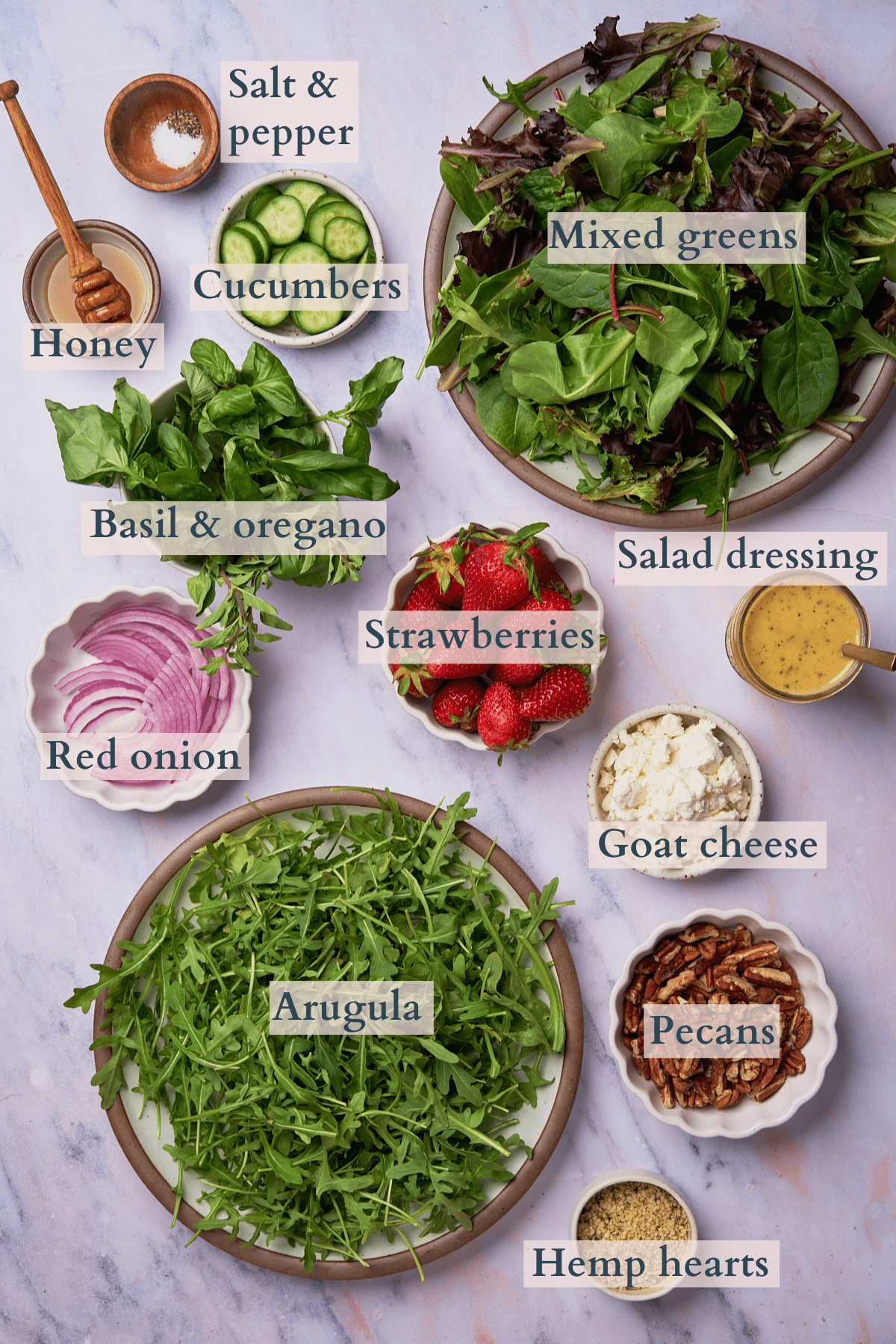 ingredients to make a strawberry goat cheese salad with mixed greens, arugula, red onion, strawberries, goat cheese, cucumbers, hemp hearts, pecans, honey, salt, basil, oregano, and salad dressing with text to denote each ingredient.