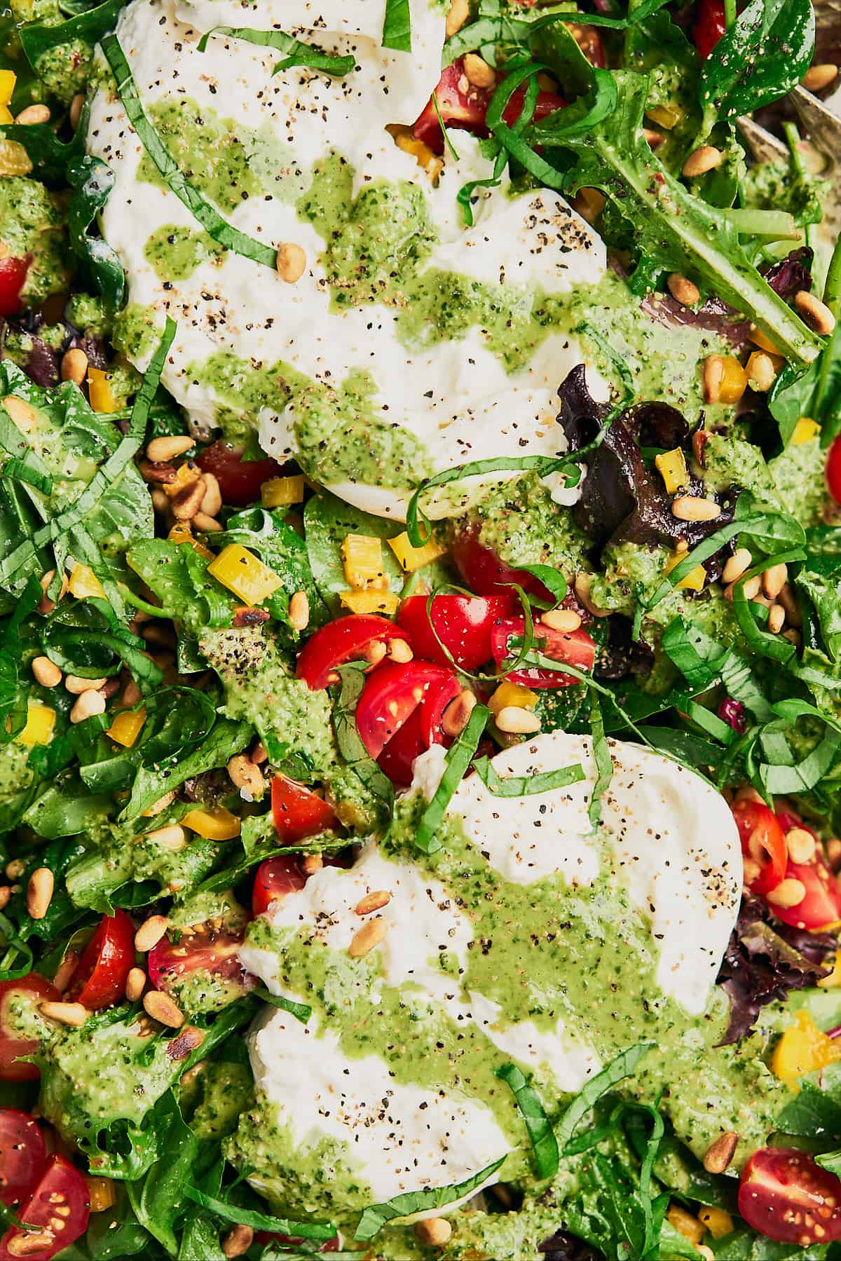 super close up shot of a burrata salad topped with pesto vinaigrette, cherry tomatoes, yellow bell peppers, toasted pine nuts, and basil chiffonade. 