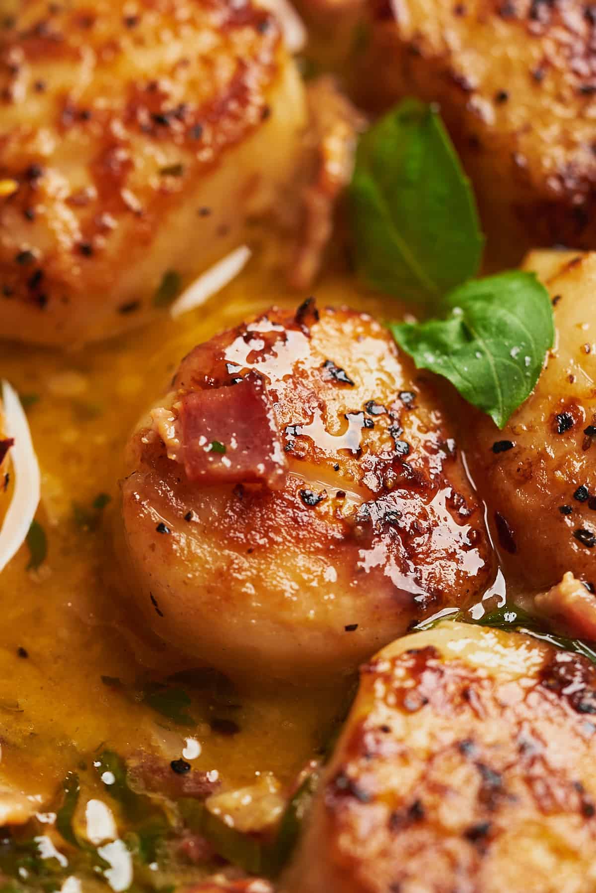delicious buttery scallops with bacon and fresh basil. 