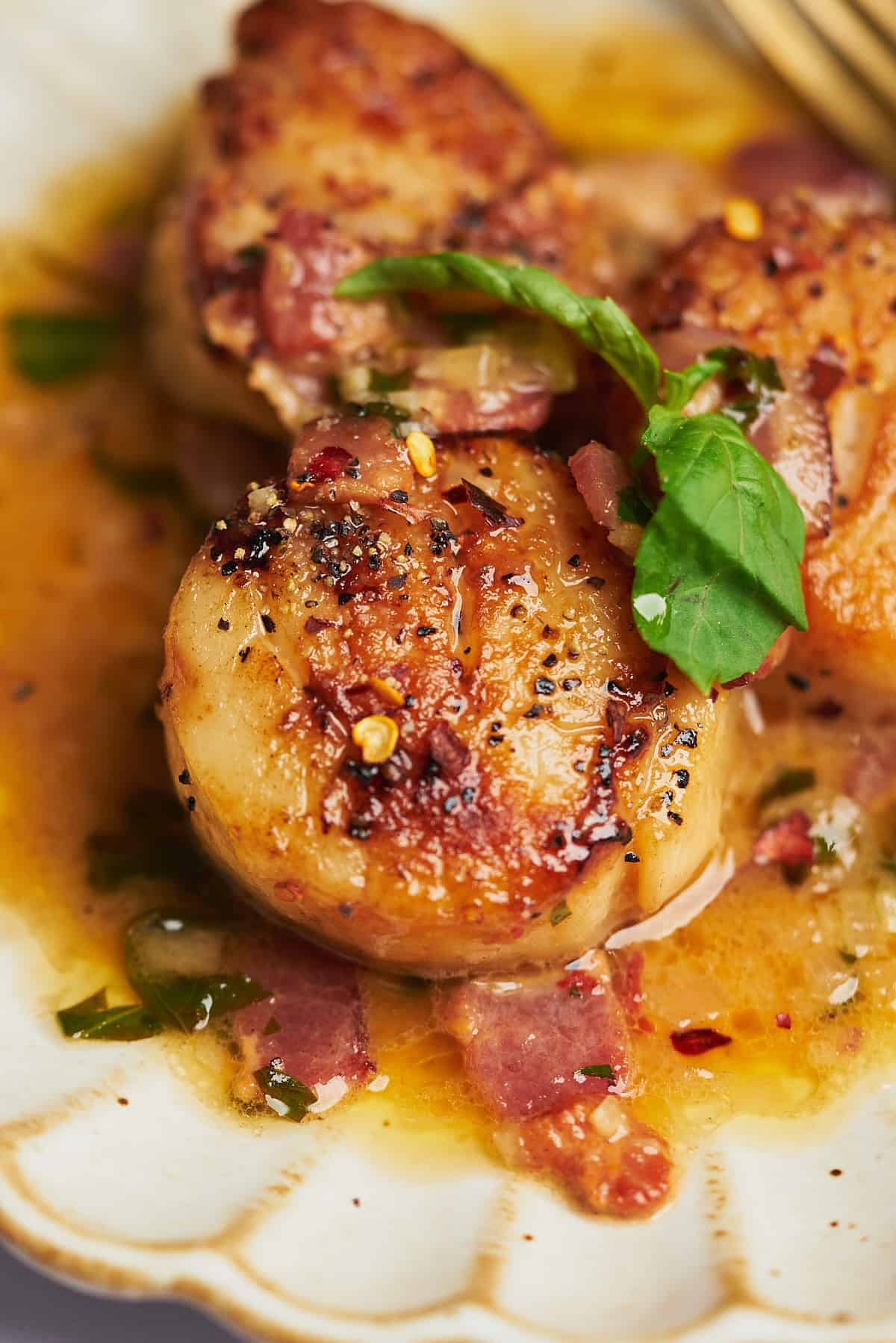 macro shot of scallops with bacon and white wine sauce, red pepper flakes, and fresh basil. 