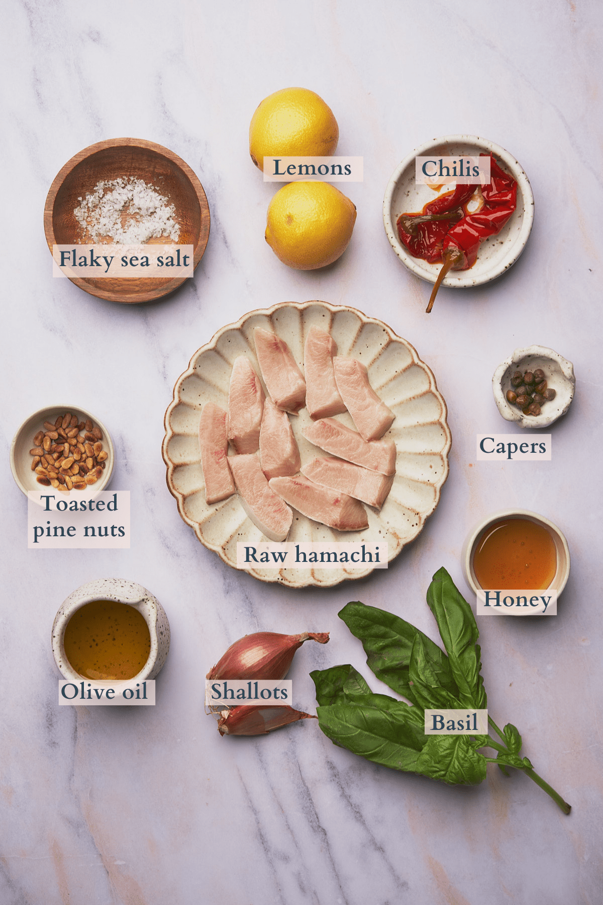 hamachi crudo ingredients graphic with text to denote each ingredient laid out in plates and bowls. 