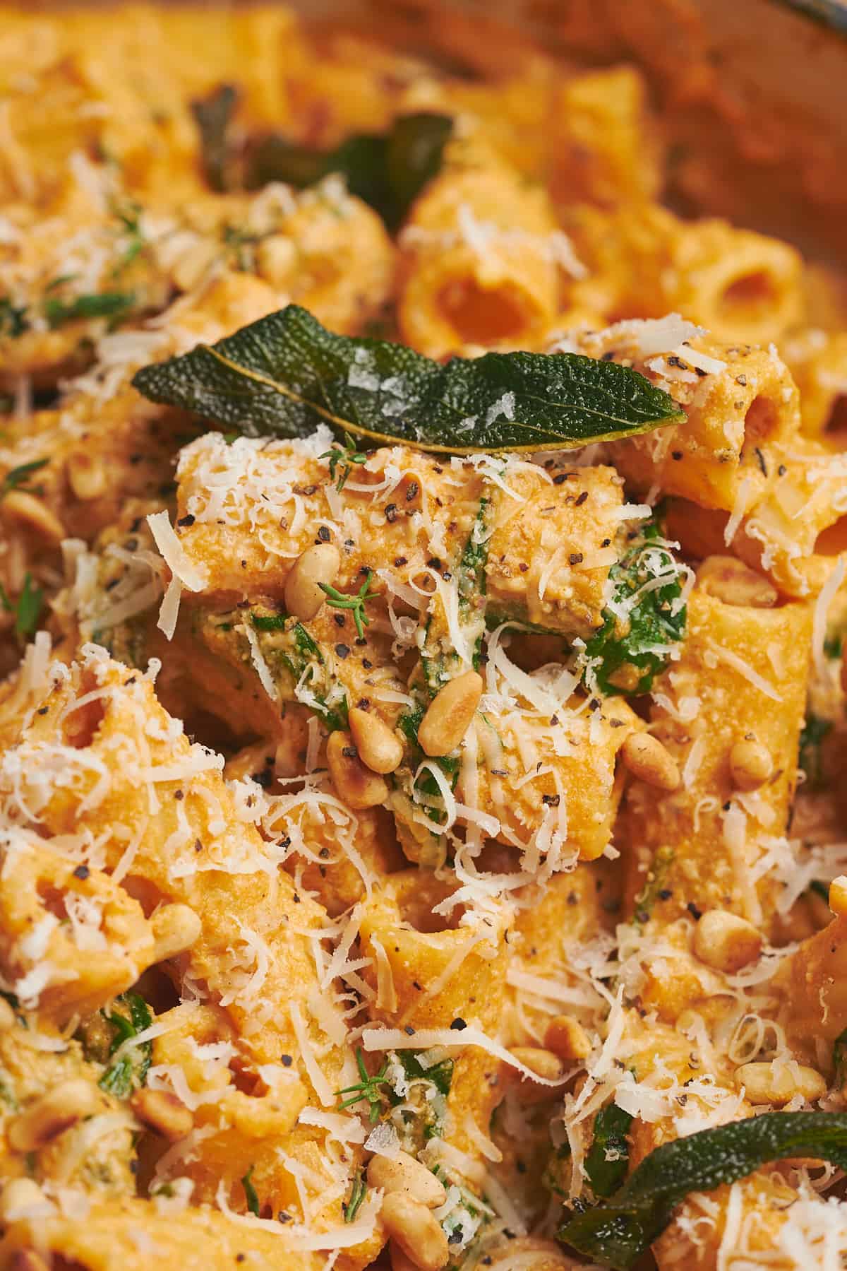 very close up shot of rigatoni noodles covered in pumpkin pasta sauce, parmeesan, pine nuts, and fried sage. 
