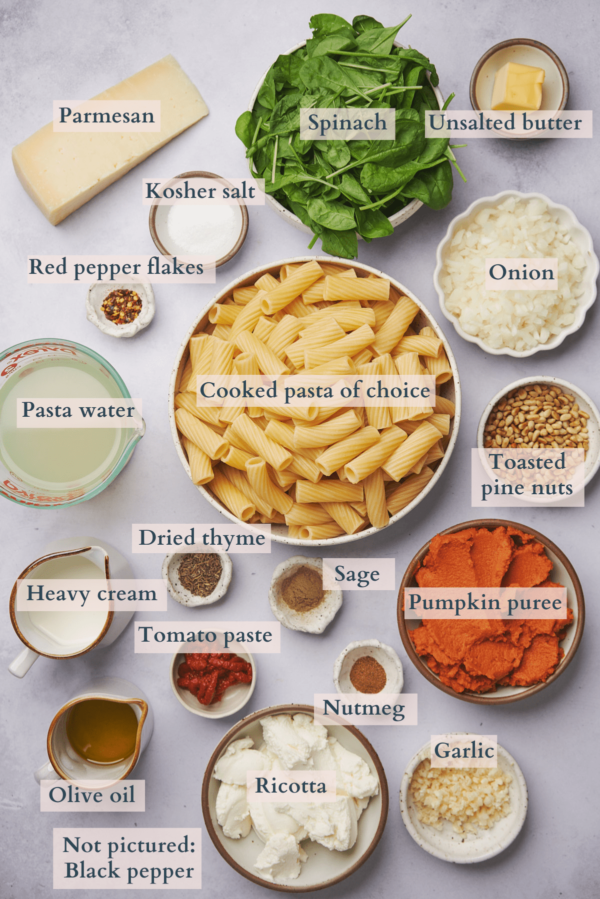pumpkin pasta sauce ingredients with text overlaying to denote each ingredient.